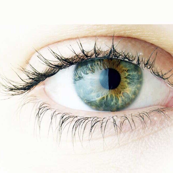 Lenti a contatto Daily Monthly Color — Eye-Shop