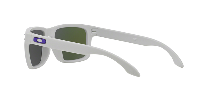 Oakley Holbrook 9102 05 360 visione