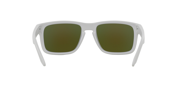 Oakley Holbrook 9102 05 360 visione