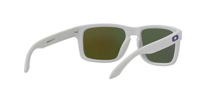 Oakley Holbrook 9102 05 360 visione