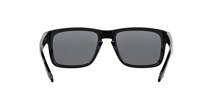 Oakley Holbrook 9102 02 Polariz 360 visione
