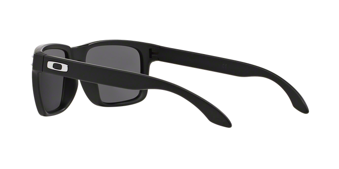 Oakley Holbrook 9102 01 360 visione