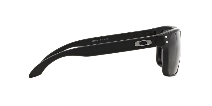 Oakley Holbrook 9102 01 360 visione