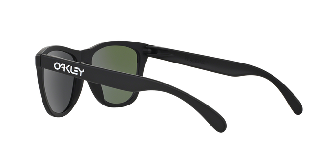 Oakley Frogskins 9013 24-298 360 visione