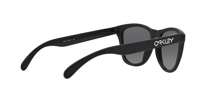 Oakley Frogskins 9013 24-297 Bla 360 visione