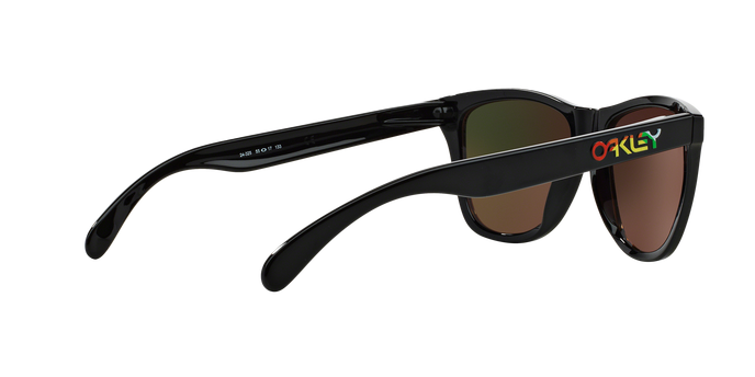 Oakley Frogskins 9013 24-325 Val 360 visione