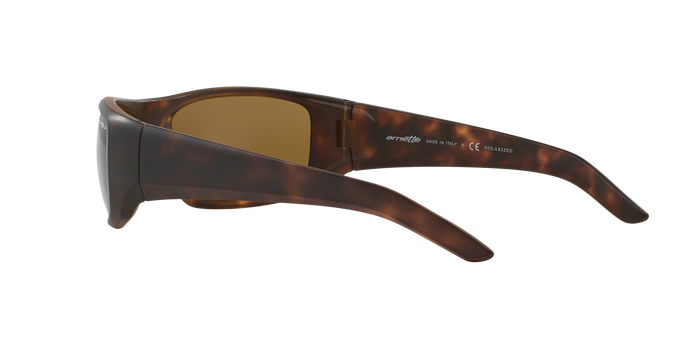 Arnette 4182 HOT SHOT 219783 Pol 360 visione