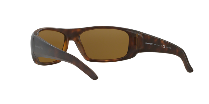 Arnette 4182 HOT SHOT 219783 Pol 360 visione