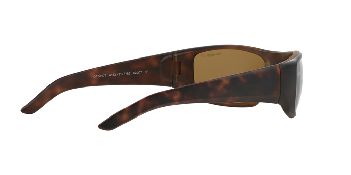 Arnette 4182 HOT SHOT 219783 Pol 360 visione