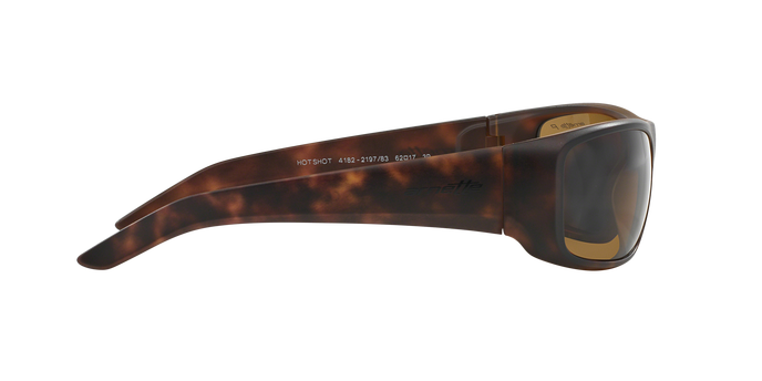 Arnette 4182 HOT SHOT 219783 Pol 360 visione