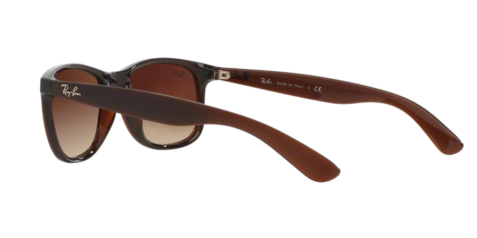Rayban ANDY 4202 607313 360 visione