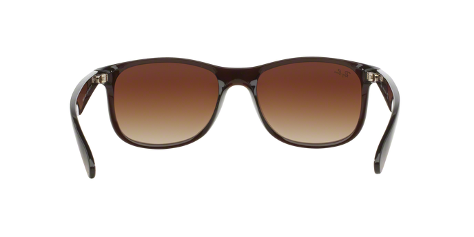 Rayban ANDY 4202 607313 360 visione