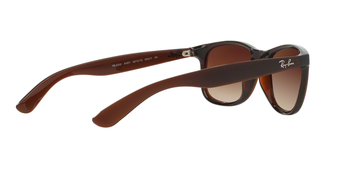 Rayban ANDY 4202 607313 360 visione