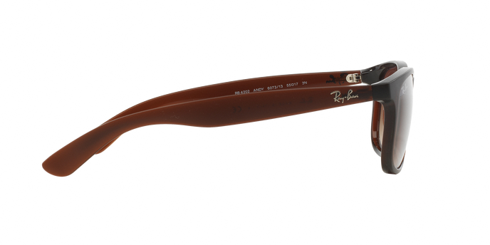 Rayban ANDY 4202 607313 360 visione