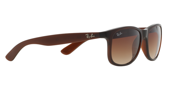 Rayban ANDY 4202 607313 360 visione