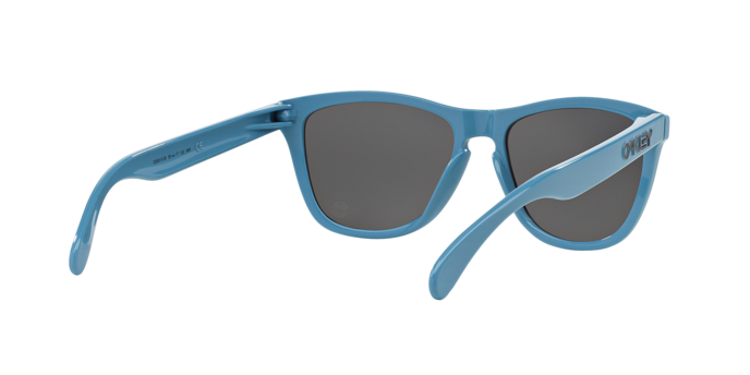 Oakley Frogskins 9013 36 Blue -  360 visione