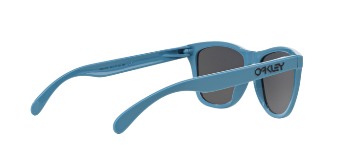 Oakley Frogskins 9013 36 Blue -  360 visione