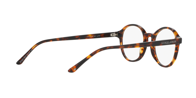 Giorgio Armani 7004 5011 360 visione