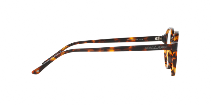 Giorgio Armani 7004 5011 360 visione