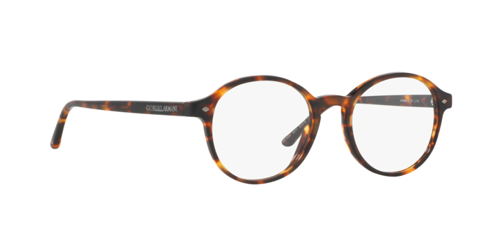 Giorgio Armani 7004 5011 360 visione