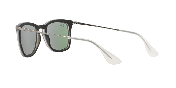 Rayban 4221 61684V 360 visione