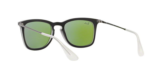 Rayban 4221 61684V 360 visione