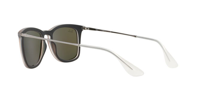 Rayban 4221 61676Q 360 visione