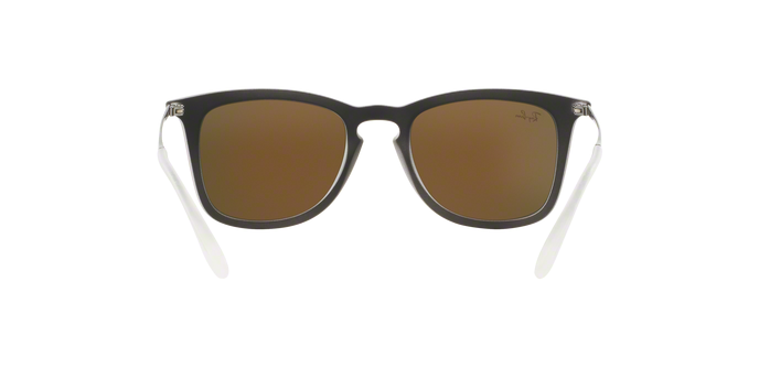 Rayban 4221 61676Q 360 visione