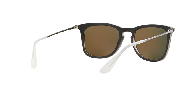 Rayban 4221 61676Q 360 visione