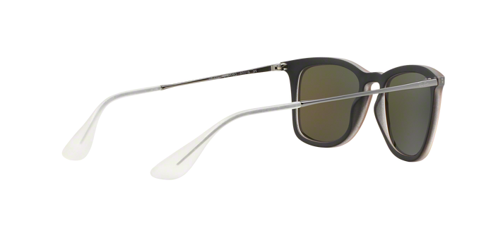 Rayban 4221 61676Q 360 visione