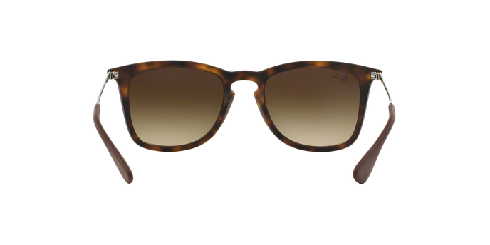 Rayban 4221 865/13 360 visione