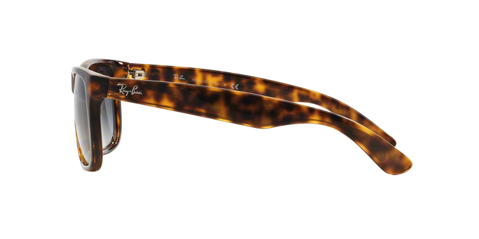 Rayban Justin 4165 710/8G 360 visione