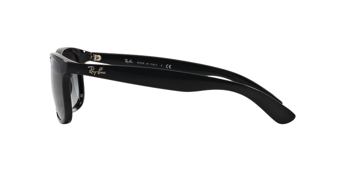 Rayban ANDY 4202 601/8G 360 visione