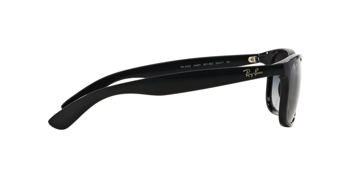 Rayban ANDY 4202 601/8G 360 visione