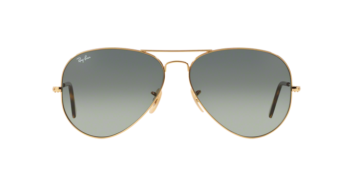 Rayban 3025 Aviator 181/71 360 visione