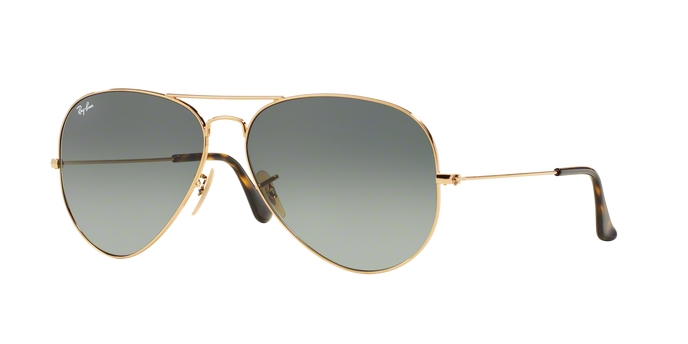 Rayban 3025 Aviator 181/71 360 visione