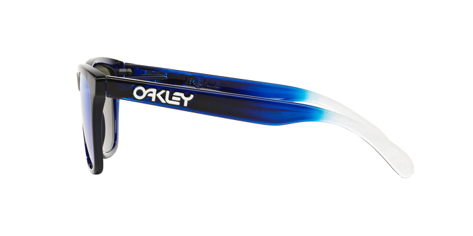 Oakley Frogskins 9013 74 Alpine  360 visione