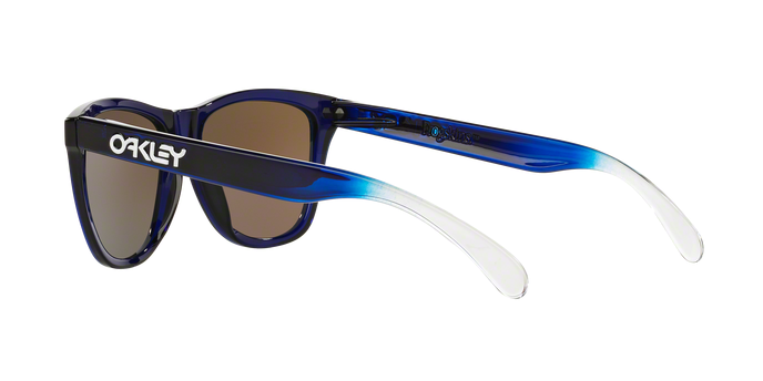 Oakley Frogskins 9013 74 Alpine  360 visione