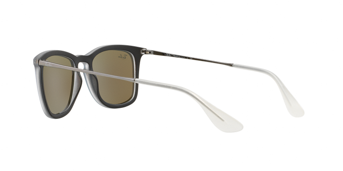 Rayban 4221 617055 360 visione
