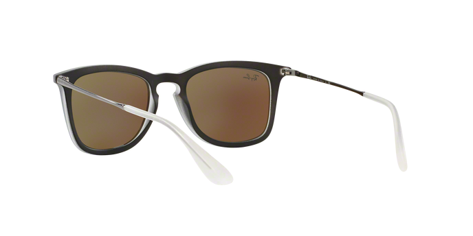 Rayban 4221 617055 360 visione