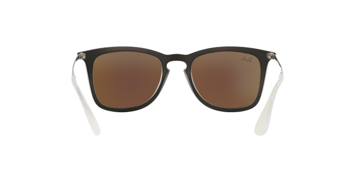 Rayban 4221 617055 360 visione