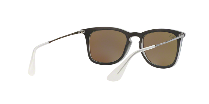Rayban 4221 617055 360 visione