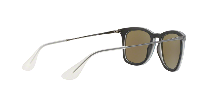 Rayban 4221 617055 360 visione