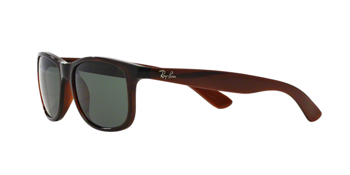 Rayban ANDY 4202 714/71 360 visione