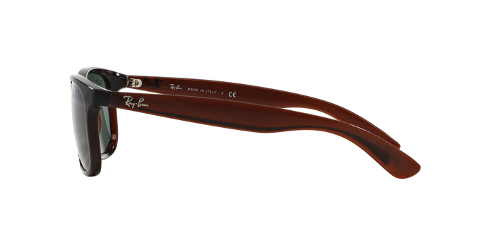Rayban ANDY 4202 714/71 360 visione