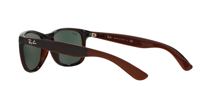 Rayban ANDY 4202 714/71 360 visione