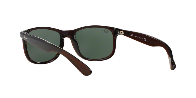 Rayban ANDY 4202 714/71 360 visione