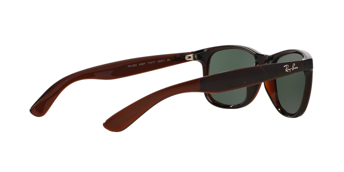 Rayban ANDY 4202 714/71 360 visione