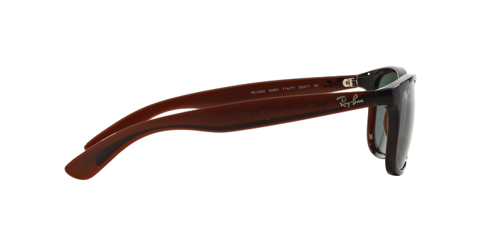 Rayban ANDY 4202 714/71 360 visione