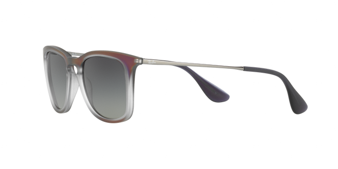 Rayban 4221 622311 360 visione